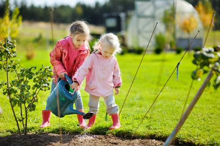 House Chores for Kids by Age, Room & Frequency