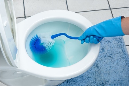 https://www.clean-organized-family-home.com/images/toilet-bowl-cleaning.jpg